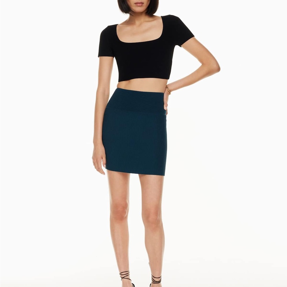 Aritzia Babaton Sculpt Knit Mini Skirt